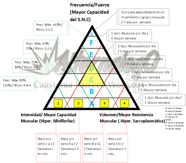 Grafica Relación frecuencia, intensidad y volumen, matriz de planeación y revisión de rutinas, alternalego.com, alternalego, imagen progresion hacia intensidad, PROGRESION NIVELES 0 Y 1
