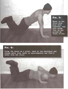 Flexion rodillas apoyadas (lagartija Kneeling Pushups) calistenia entrenamiento de fuerza, entrenamiento de peso corporal, calisthenics, bodyweight training, stregth training. convict conditioning, paul coach wade