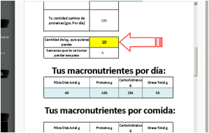 Imagen de tutorial para calculadora nutricional, buena nutricion, ejercicio fisico, bajar de peso, nutricion balanceada.