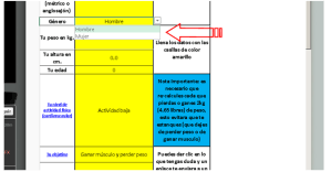 Imagen de tutorial para calculadora nutricional, buena nutricion, ejercicio fisico, bajar de peso, nutricion balanceada.