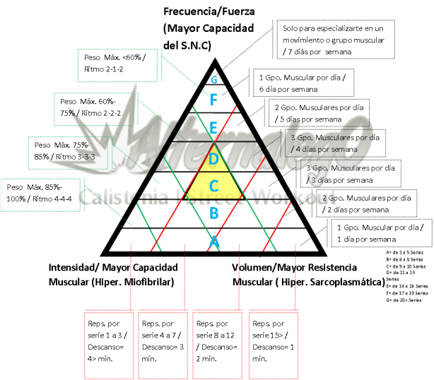 Grafica Relación frecuencia, intensidad y volumen, matriz de planeación y revisión de rutinas, alternalego.com, alternalego, imagen completa triangulo amarillo