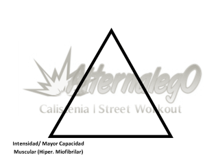 Grafica Relación frecuencia, intensidad y volumen, matriz de planeación y revisión de rutinas, alternalego.com, alternalego, imagen con intensidad y Miofibrilar imagen con intensidad y Miofibrilar