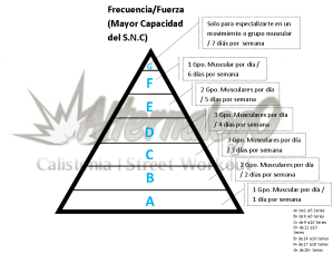 Grafica Relación frecuencia, intensidad y volumen, matriz de planeación y revisión de rutinas, alternalego.com, alternalego, imagen líneas negras y grupos musculares