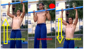 COMPONENTES REPETICION - ELEVACION EN BARRA (PULL UP)