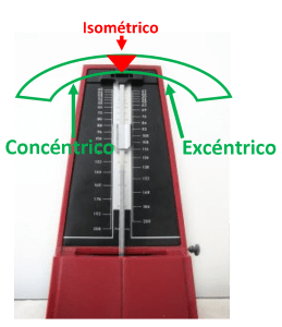 COMPONENTES REPETICION - METRONOMO